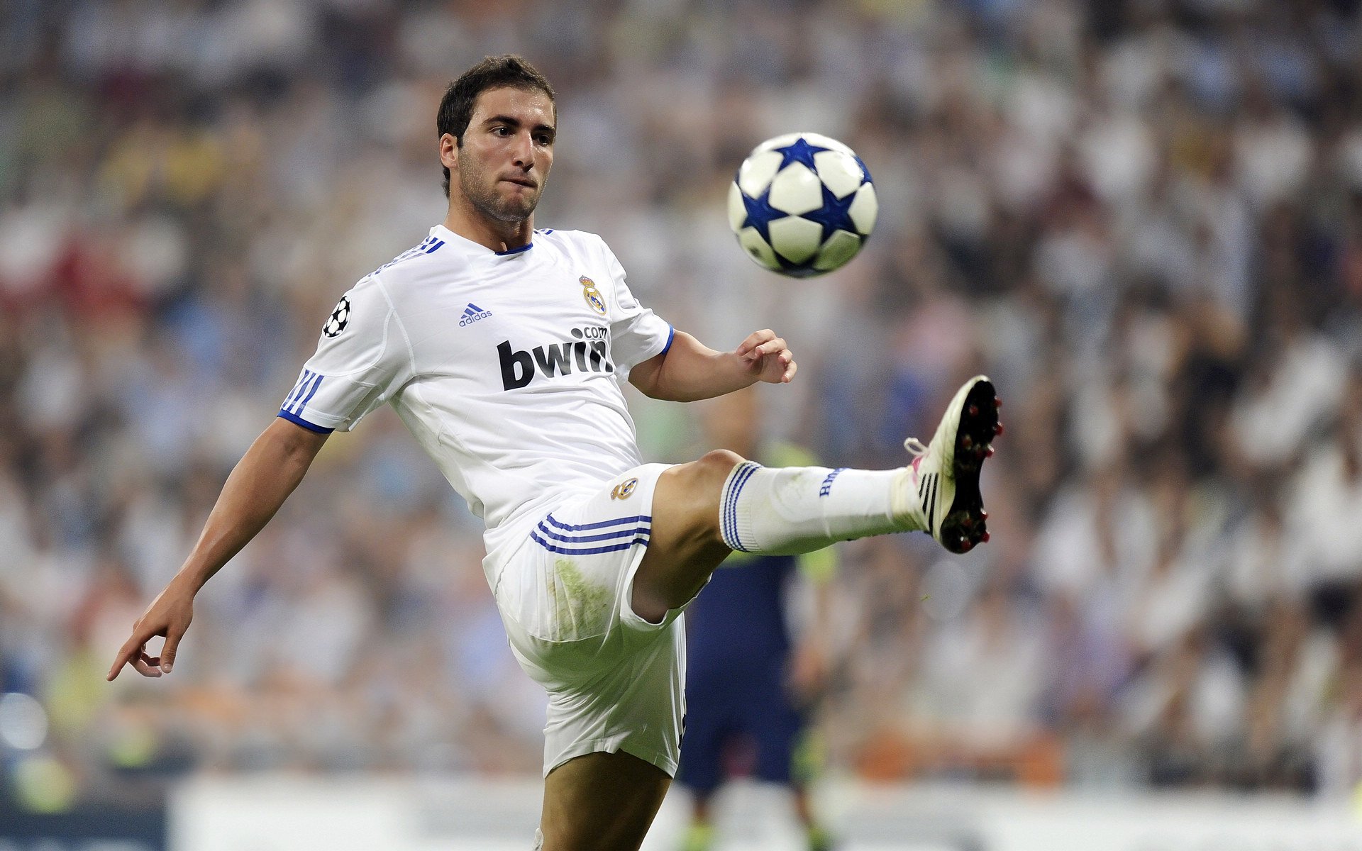 青训体系是否真的解决了人才问题,青训的要求